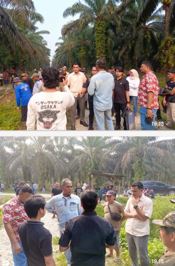 Dari 1992 hingga Kini, Perjuangan Petani 80 Sumber Berkah untuk Kebun yang Mereka Tanam Belum Usai