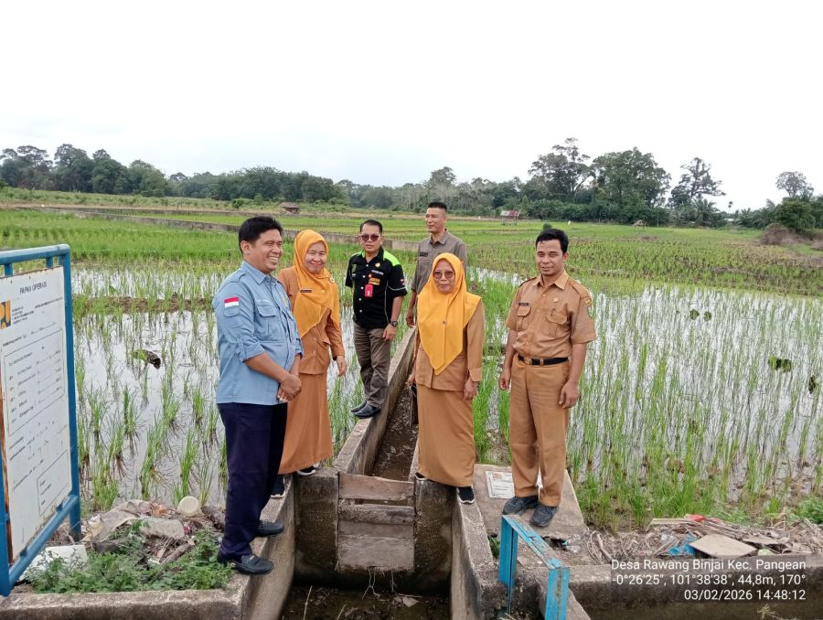 Dari Rakornas ke Sawah, Kuansing Perkuat Implementasi Ketahanan Pangan